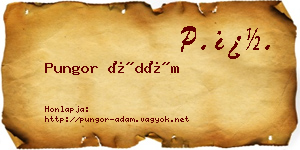 Pungor Ádám névjegykártya