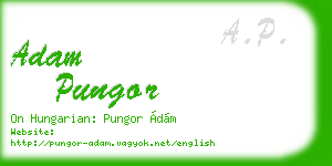 adam pungor business card