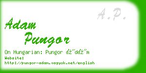 adam pungor business card